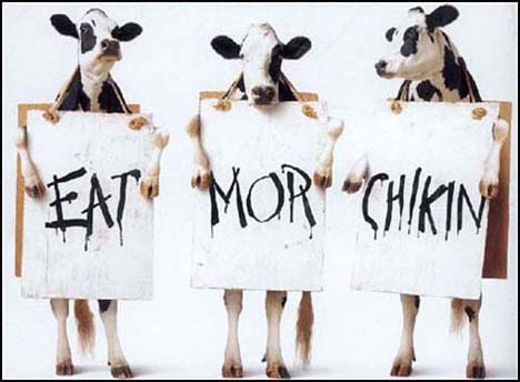 Funny picture of the day